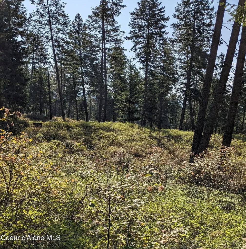 Nna 10 Ac. New Chisholm Way Bonners Ferry ID 83805