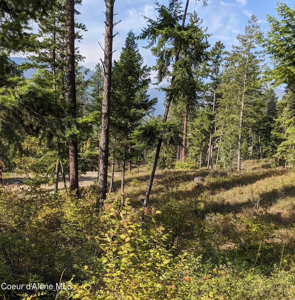 Nna 10 Ac. New Chisholm Way Bonners Ferry ID 83805