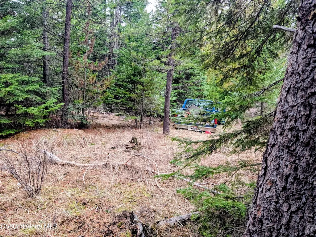 240 Buckeye Lane St. Maries ID 83861