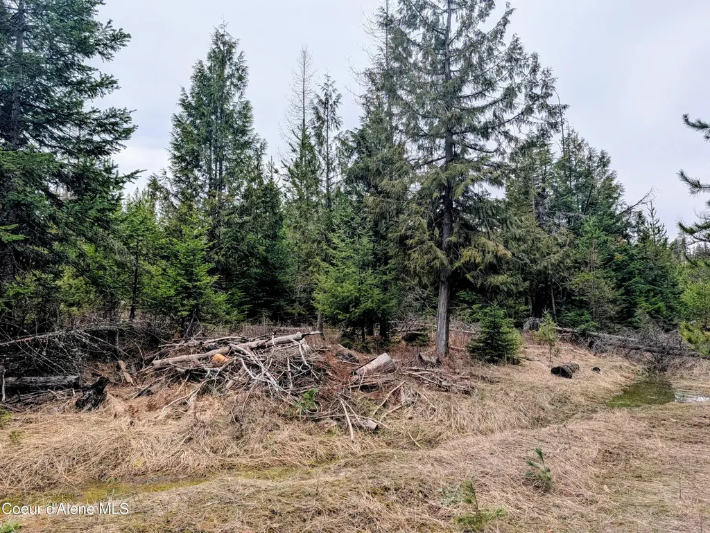 240 Buckeye Lane St. Maries ID 83861