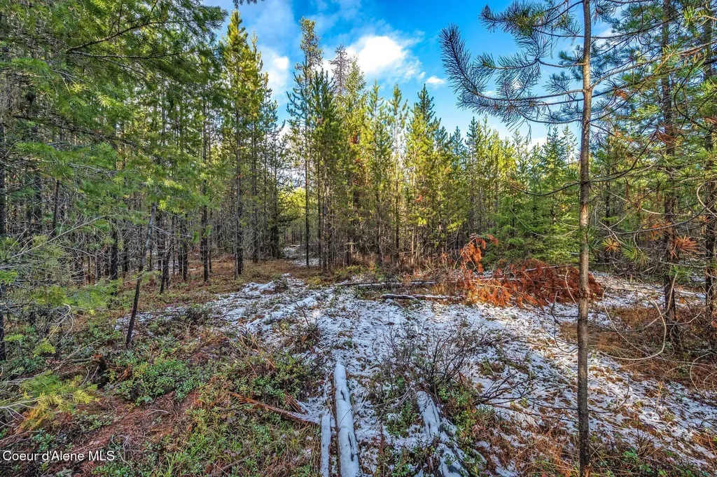 Tbb Lot 3 Reeder Bay Road Nordman ID 83848