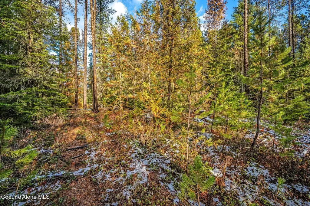 Tbb Lot 3 Reeder Bay Road Nordman ID 83848