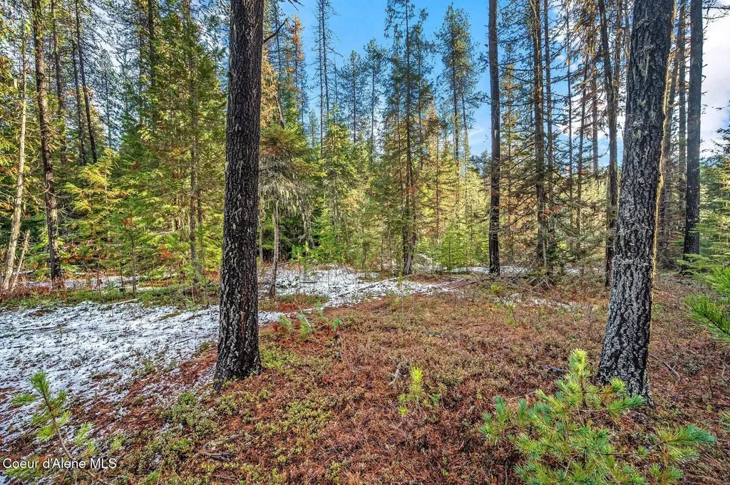 Tbb Lot 3 Reeder Bay Road Nordman ID 83848