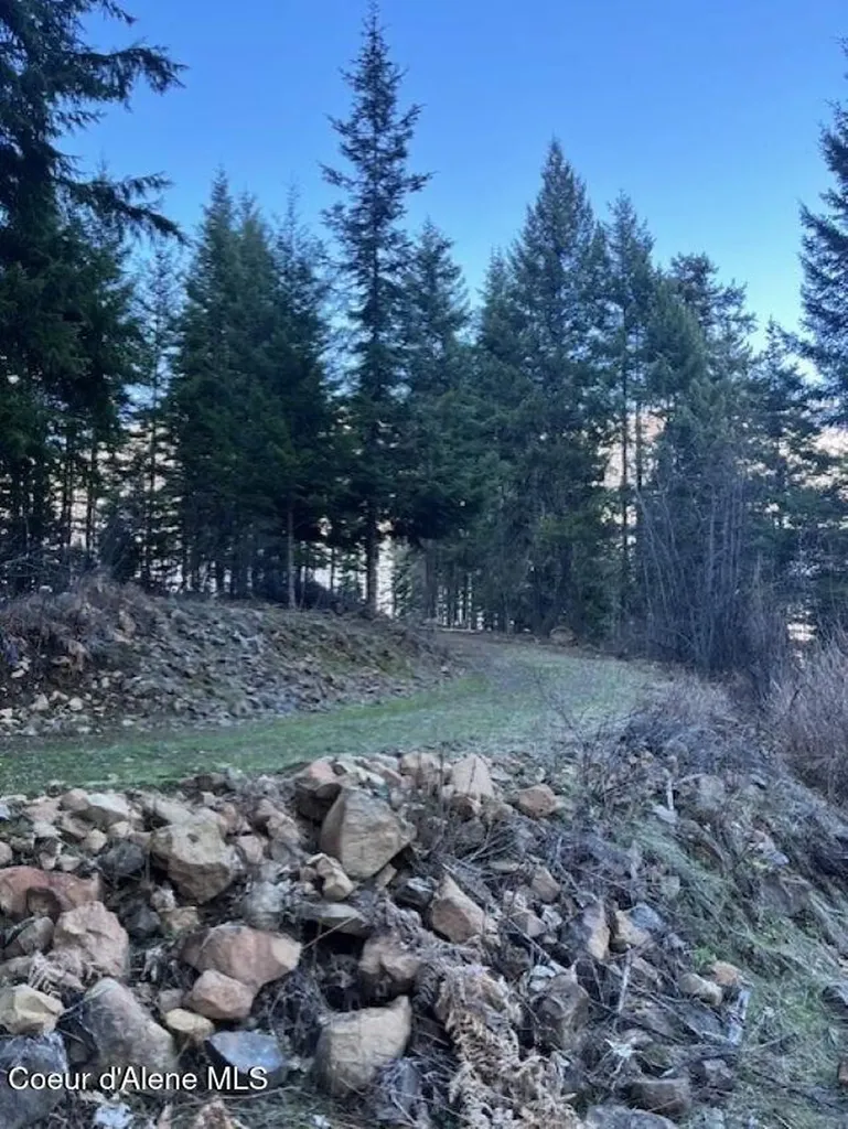 1139 Ove Creek Lane Orofino ID 83544