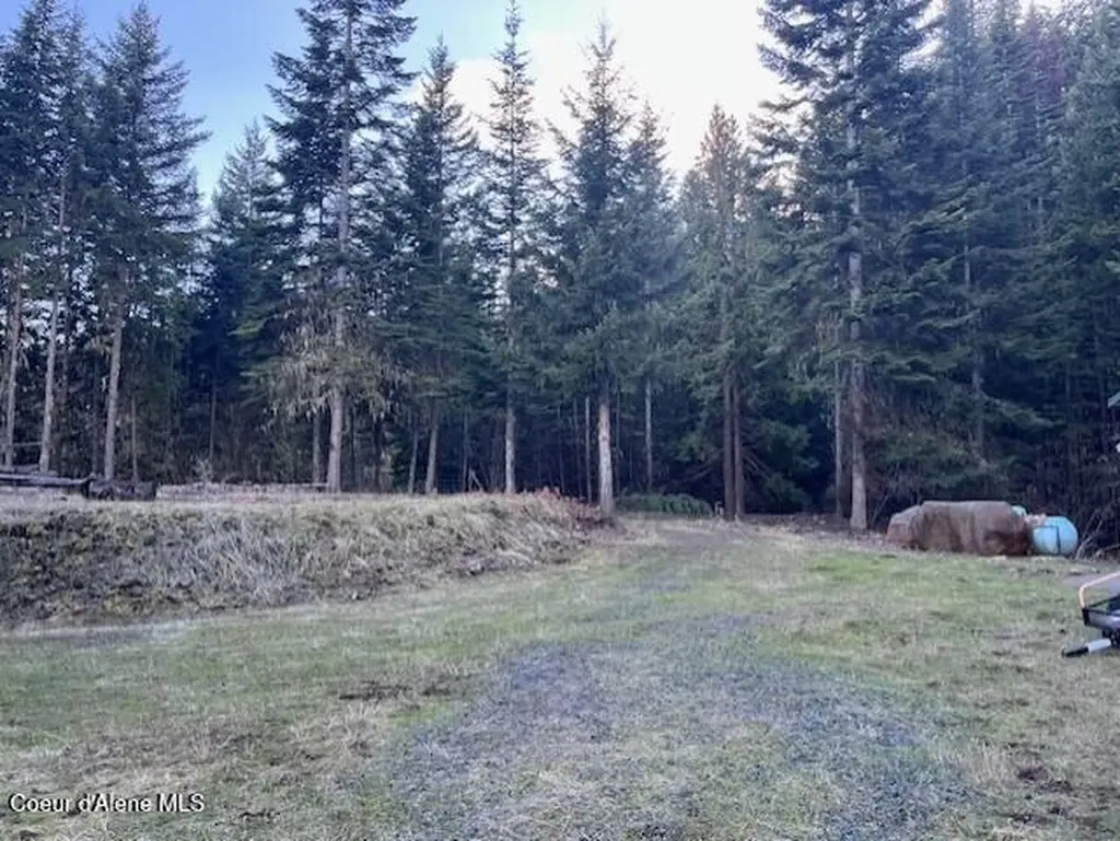 1139 Ove Creek Lane Orofino ID 83544
