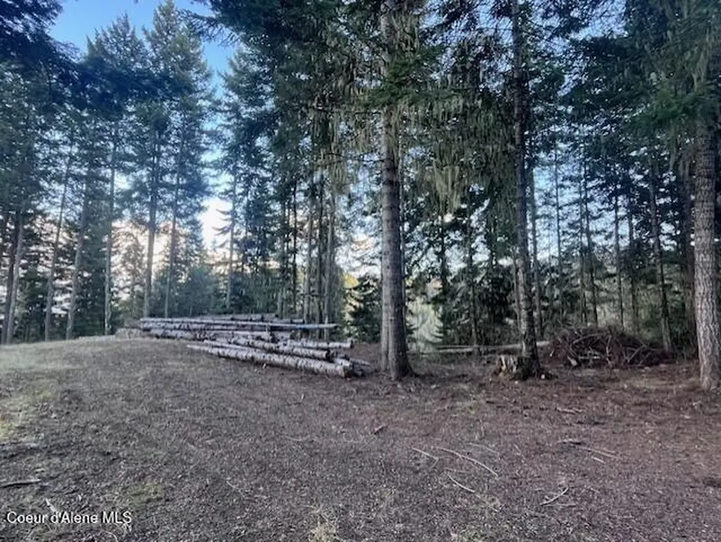 1139 Ove Creek Lane Orofino ID 83544