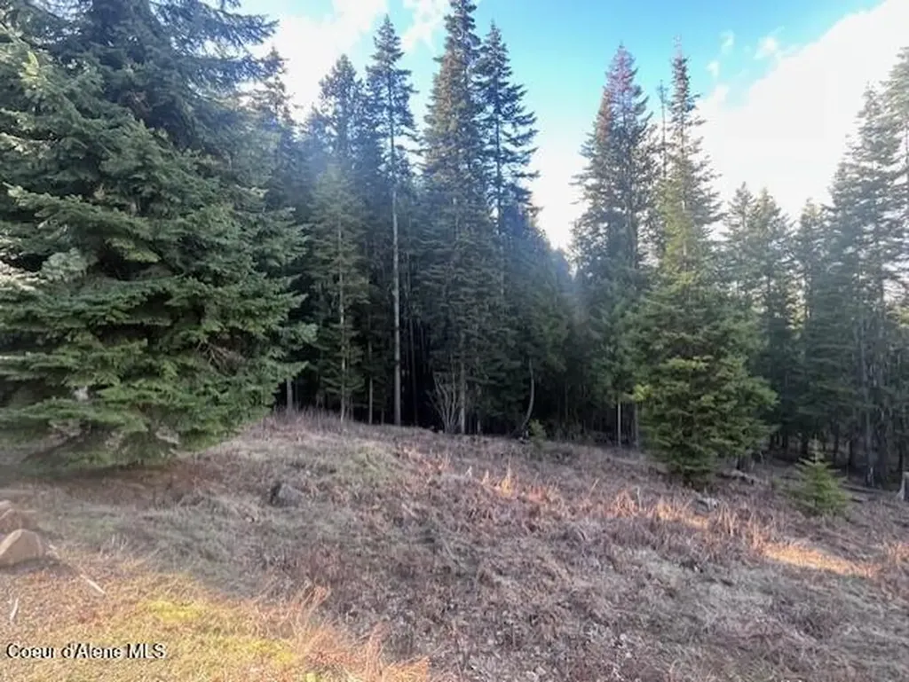 1139 Ove Creek Lane Orofino ID 83544