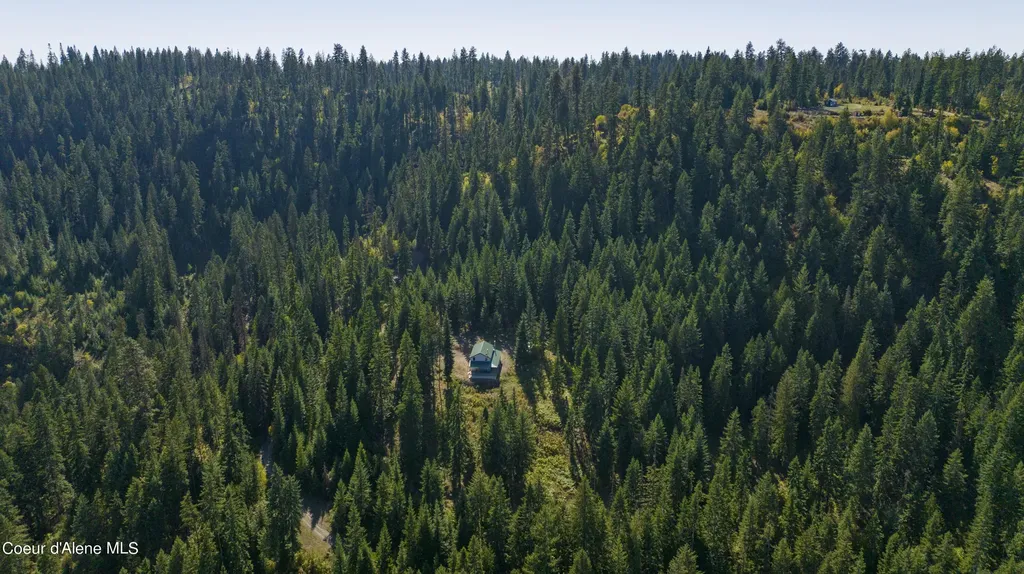 1139 Ove Creek Lane Orofino ID 83544