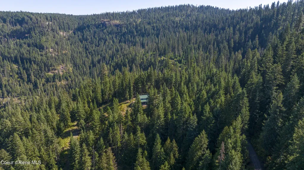 1139 Ove Creek Lane Orofino ID 83544