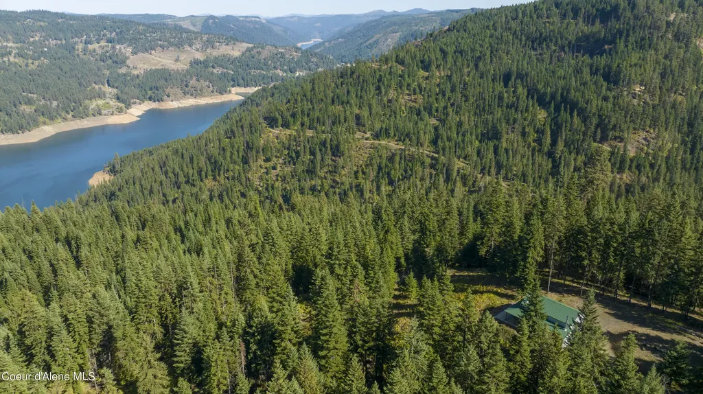 1139 Ove Creek Lane Orofino ID 83544