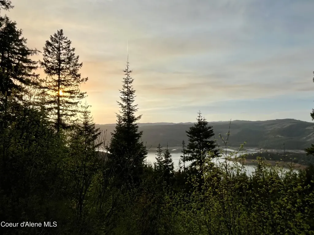 1139 Ove Creek Lane Orofino ID 83544
