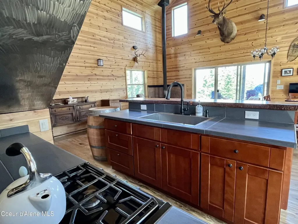 1139 Ove Creek Lane Orofino ID 83544
