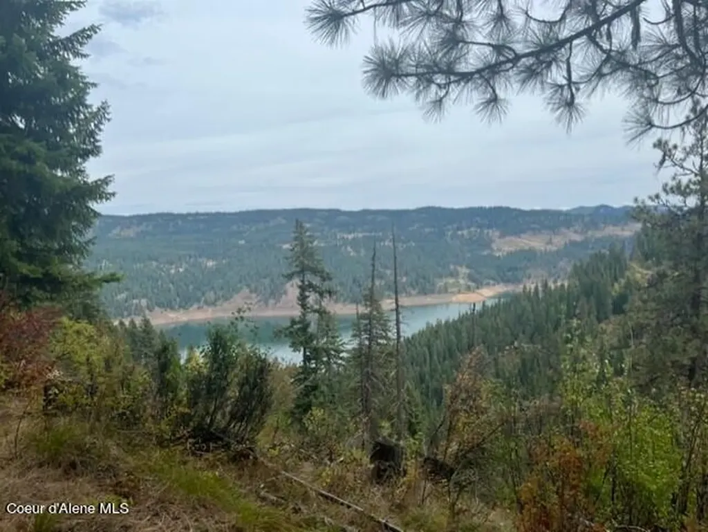 1139 Ove Creek Lane Orofino ID 83544