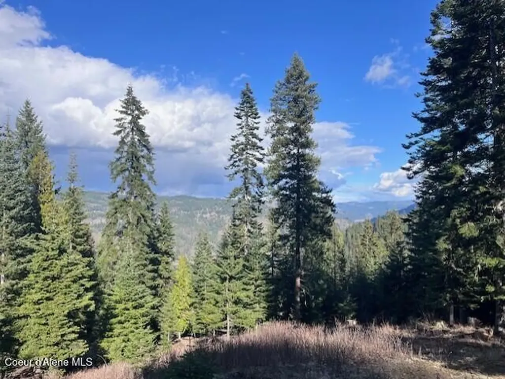 1139 Ove Creek Lane Orofino ID 83544