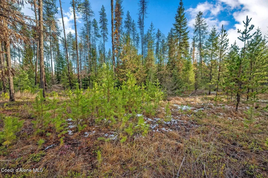 Tbb Lot 1 Reeder Bay Road Nordman ID 83848