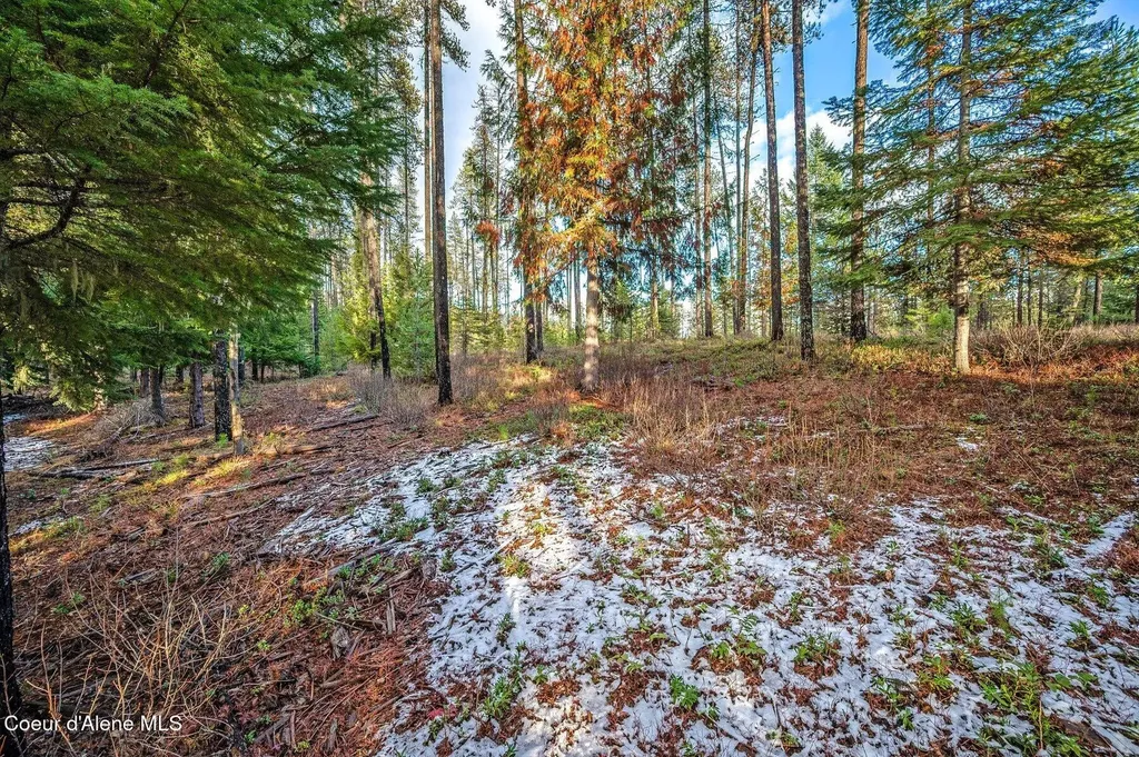 Tbb Lot 1 Reeder Bay Road Nordman ID 83848
