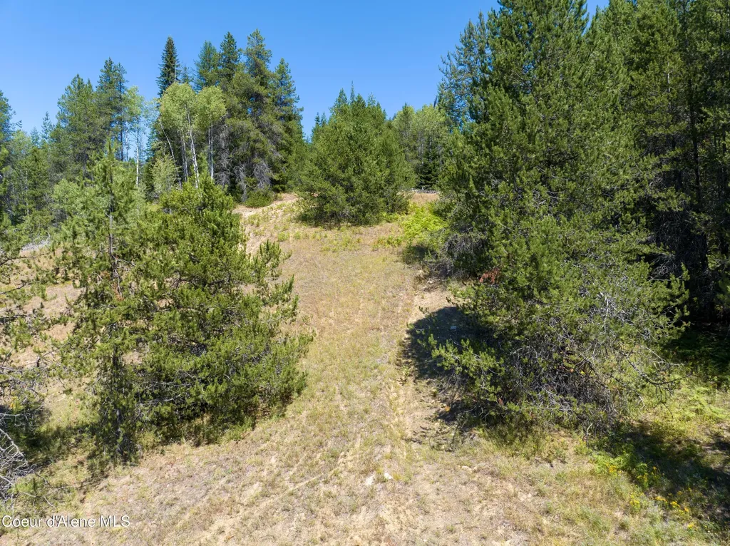 10 Acres Lamb Creek Road Priest Lake ID 83856