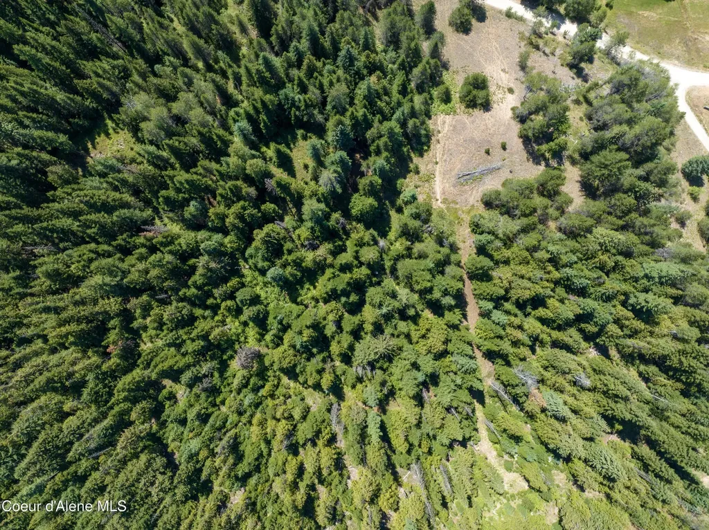 10 Acres Lamb Creek Road Priest Lake ID 83856