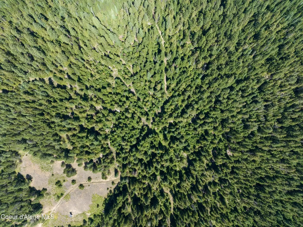 10 Acres Lamb Creek Road Priest Lake ID 83856