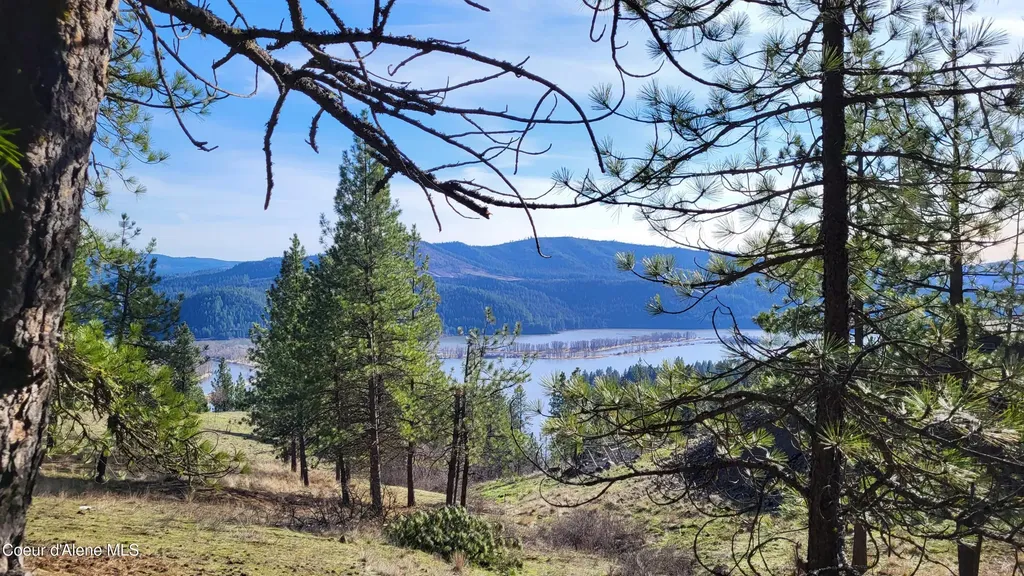 Lot 21 E Holiday Road Harrison ID 83833