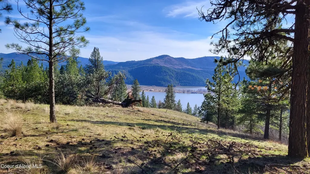 Lot 21 E Holiday Road Harrison ID 83833