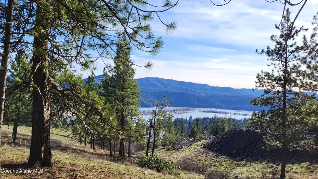 Lot 21 E Holiday Road Harrison ID 83833