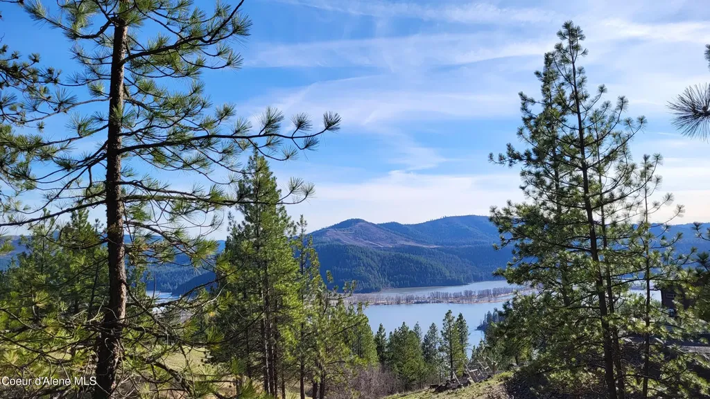 Lot 21 E Holiday Road Harrison ID 83833