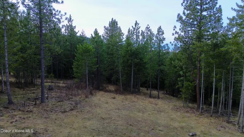 13476 W Margishward Road Post Falls ID 83854