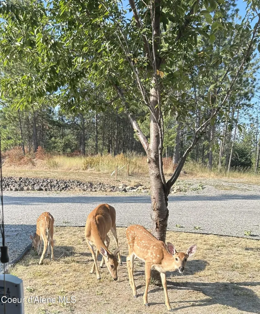 13476 W Margishward Road Post Falls ID 83854