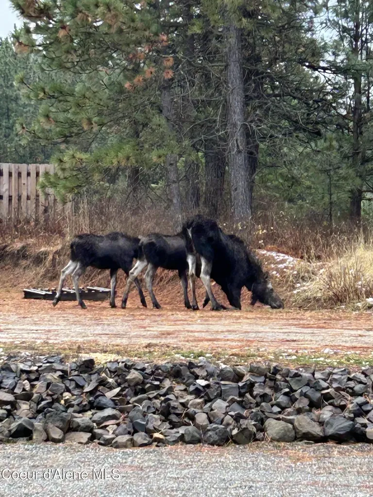 13476 W Margishward Road Post Falls ID 83854