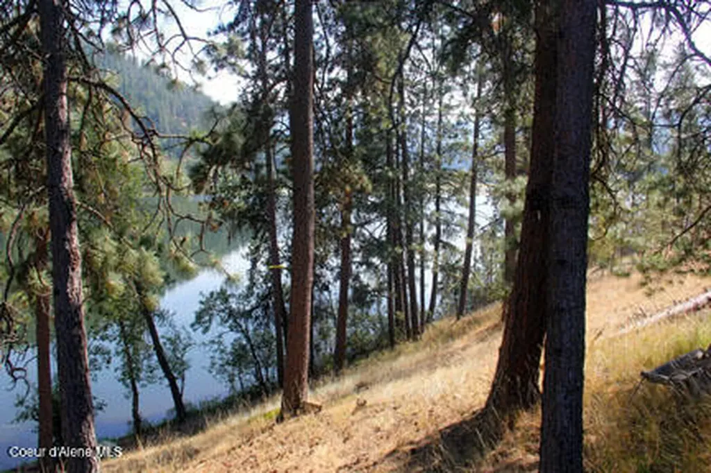 14814 S Kleins Medicine Trail Cataldo ID 83810