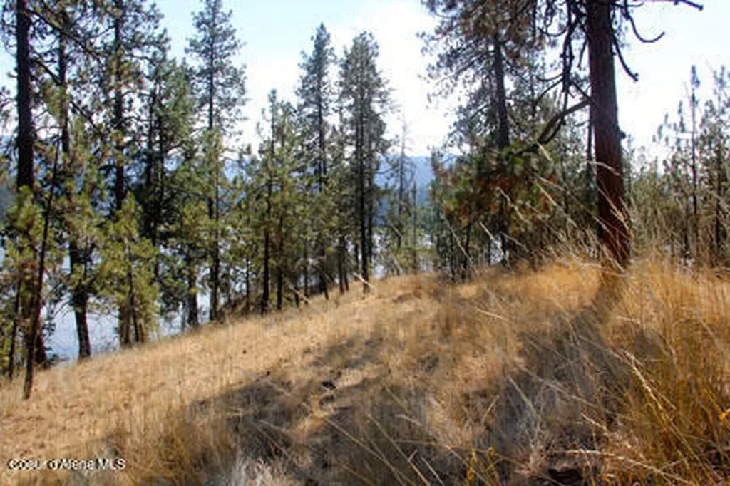 14814 S Kleins Medicine Trail Cataldo ID 83810
