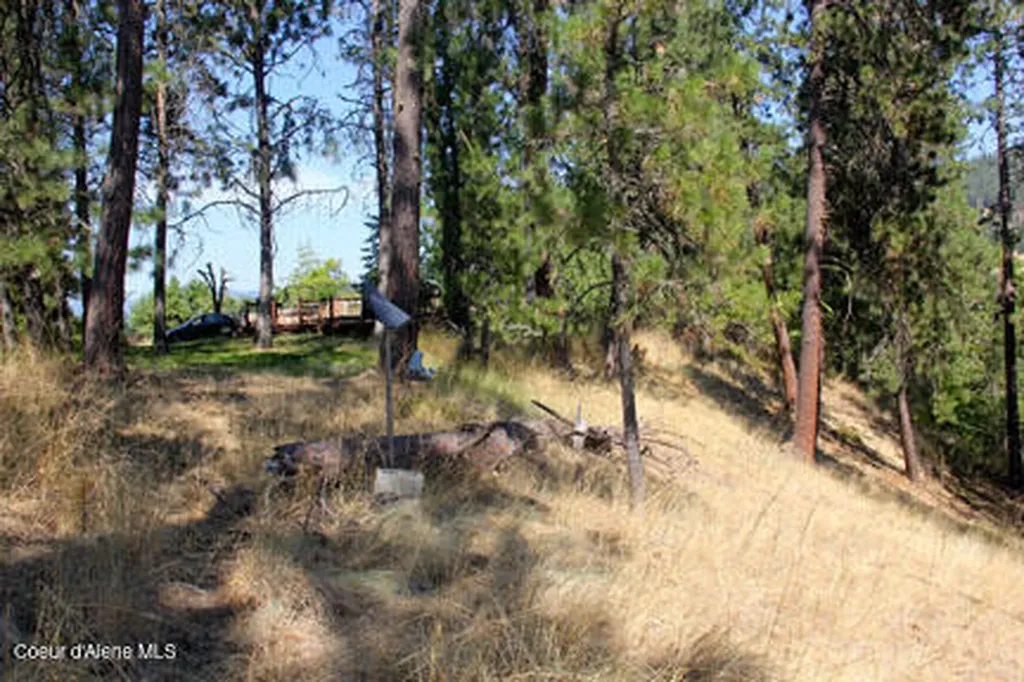 14814 S Kleins Medicine Trail Cataldo ID 83810