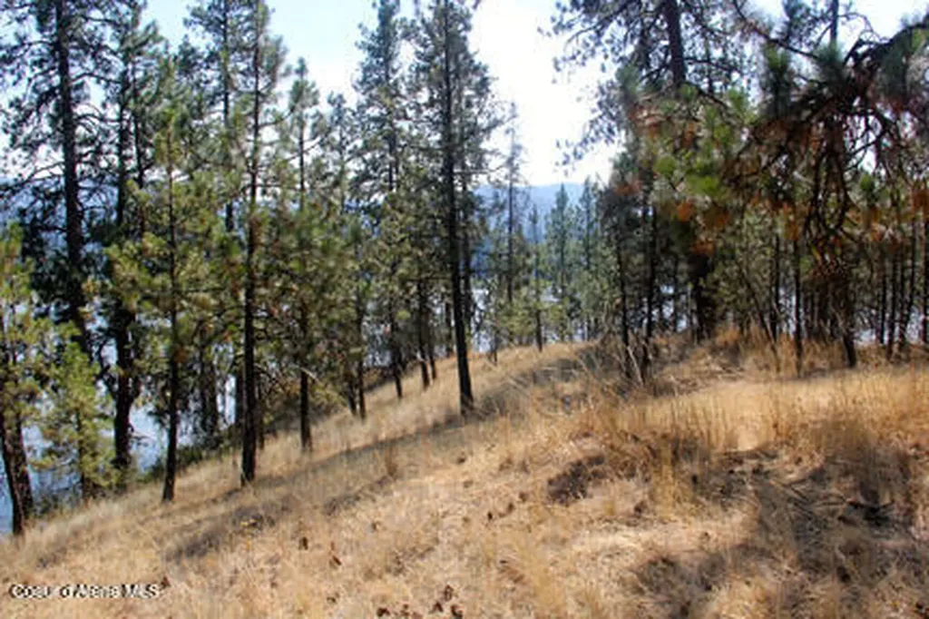 14814 S Kleins Medicine Trail Cataldo ID 83810