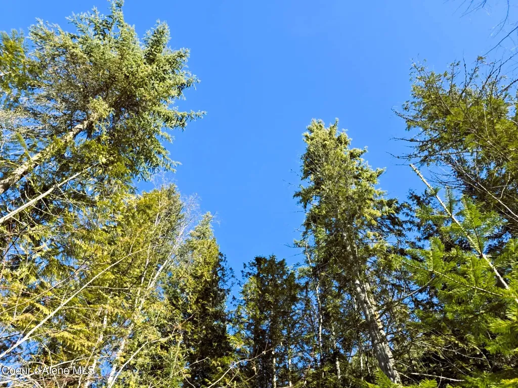 Nna Old Highway Two Loop Moyie Springs ID 83845