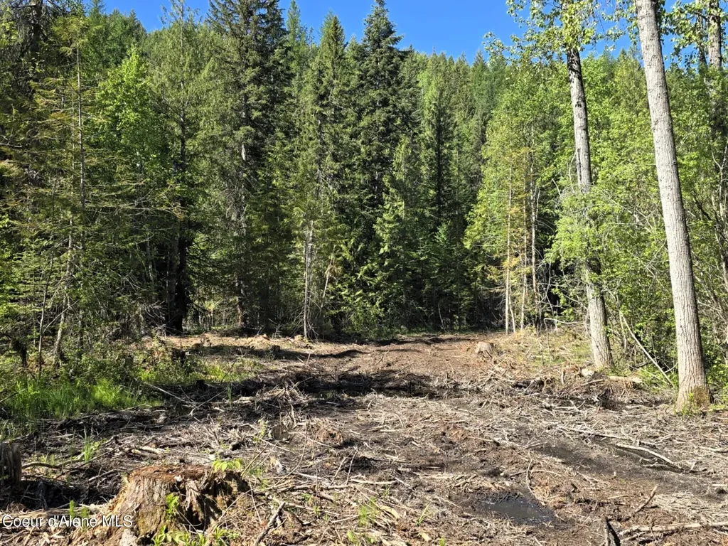 Nna Old Highway Two Loop Moyie Springs ID 83845