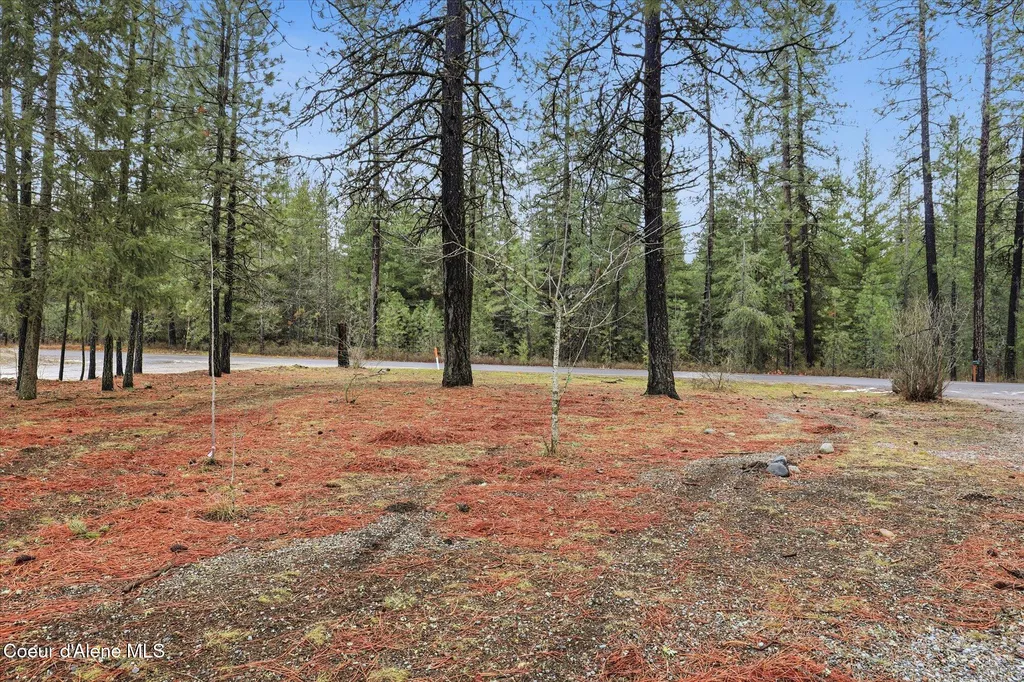2455 W Seasons Road Athol ID 83801