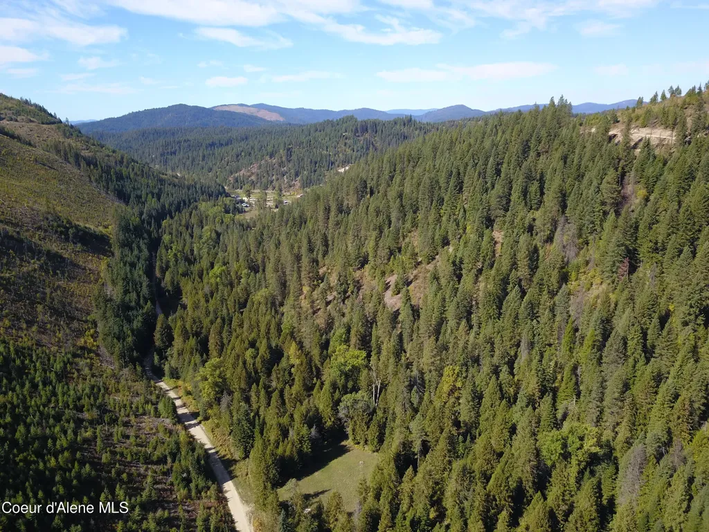2815 Bear Creek Road Kingston ID 83839