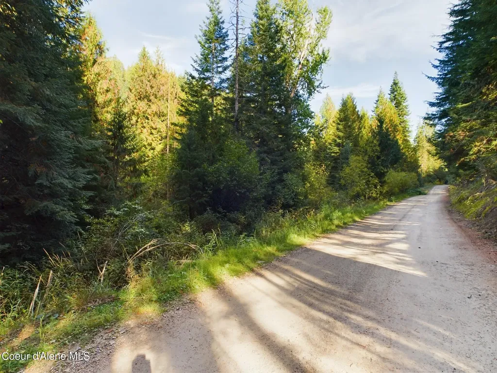 2815 Bear Creek Road Kingston ID 83839