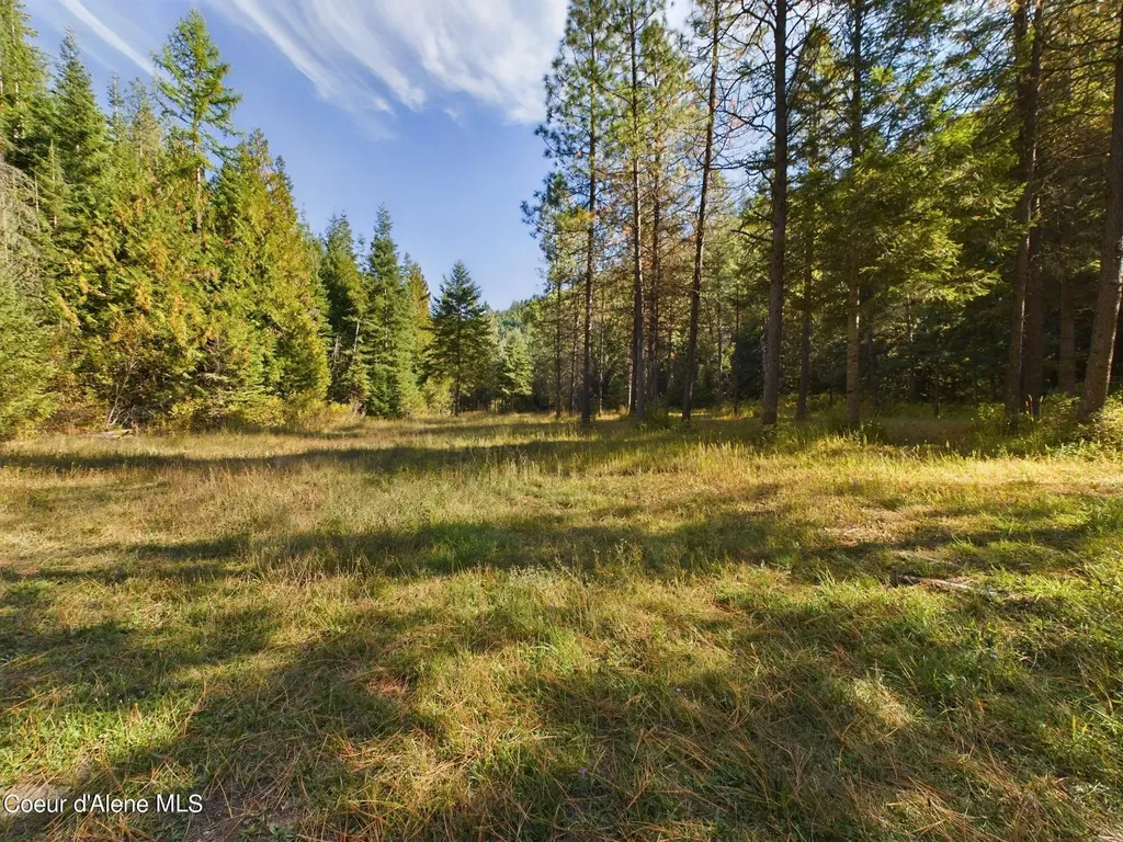 2815 Bear Creek Road Kingston ID 83839