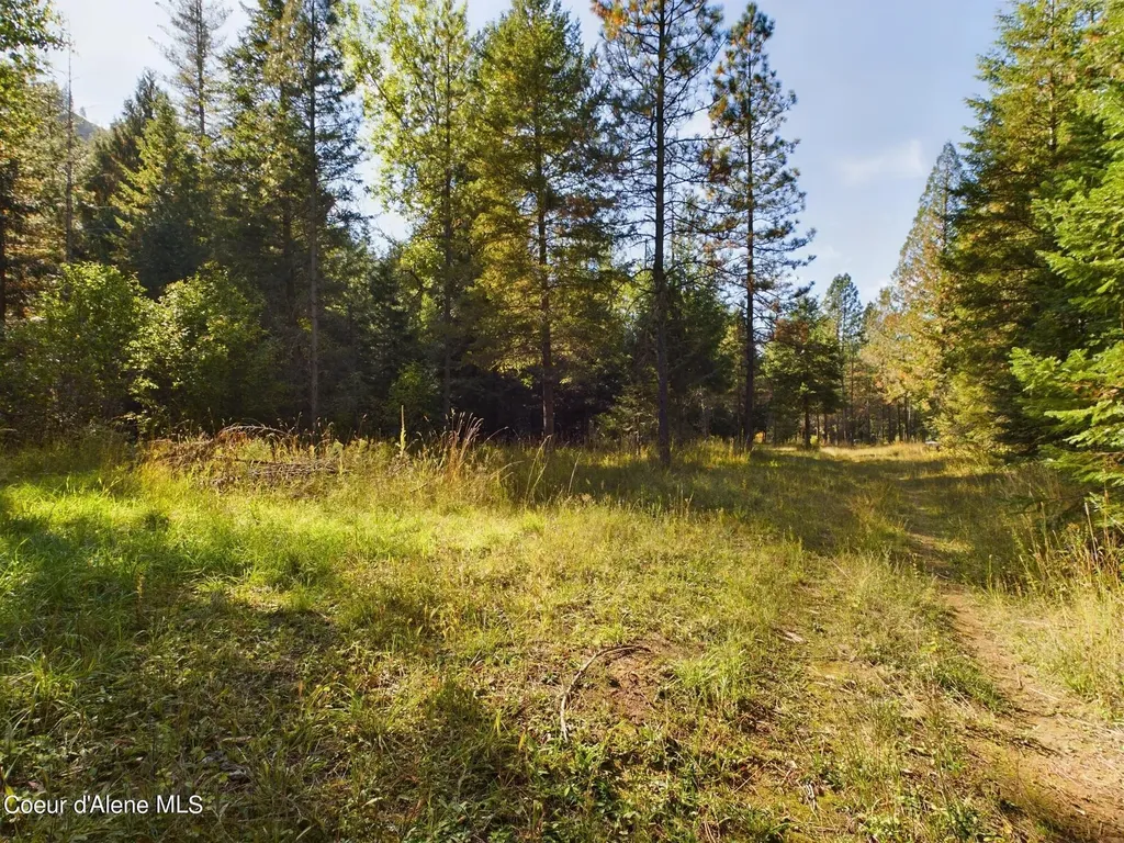 2815 Bear Creek Road Kingston ID 83839