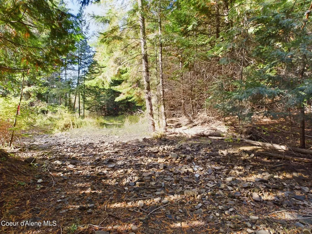 2815 Bear Creek Road Kingston ID 83839