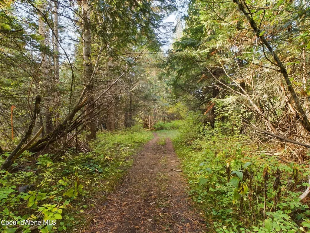 2815 Bear Creek Road Kingston ID 83839