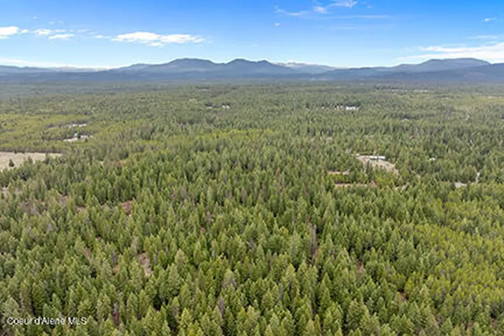 Nna N Lewellen Creek 2n Road Athol ID 83801