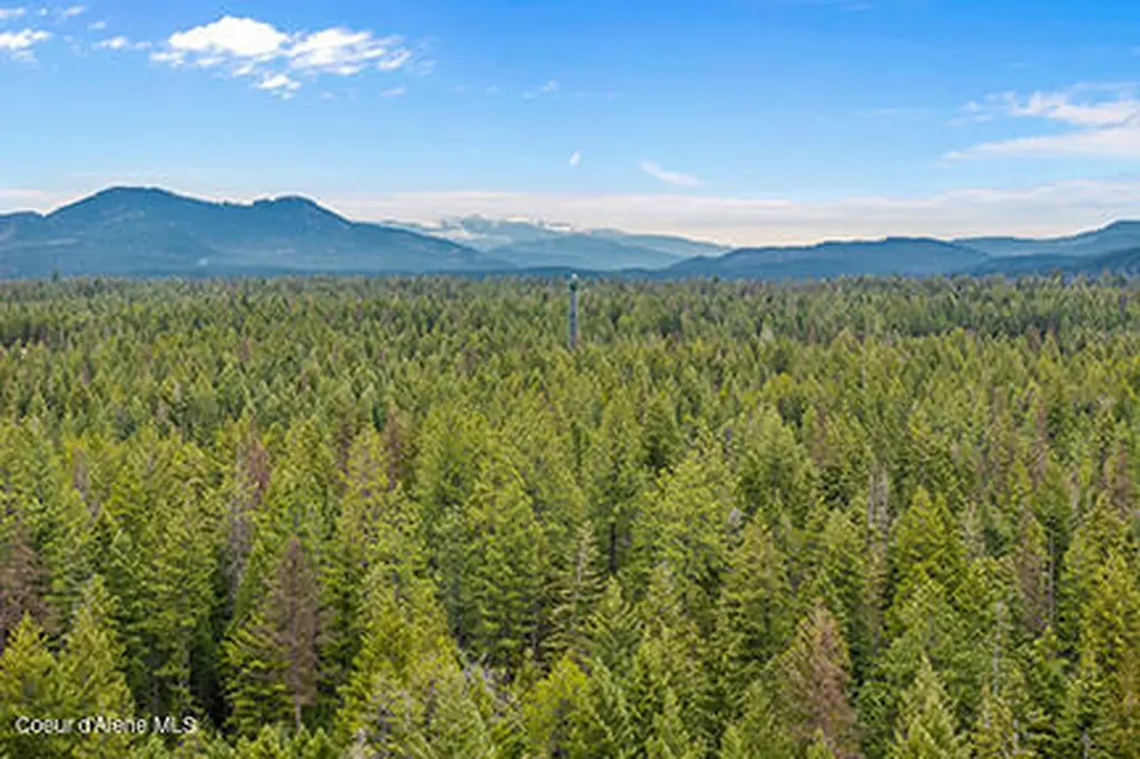 Nna N Lewellen Creek 2n Road Athol ID 83801