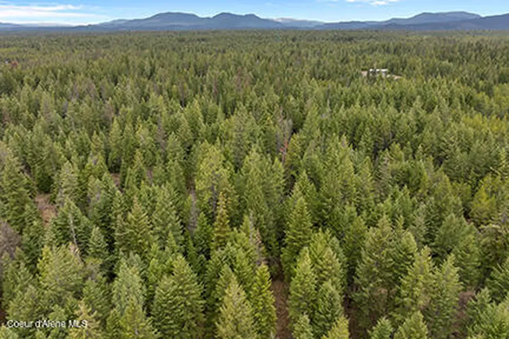 Nna N Lewellen Creek 2n Road Athol ID 83801