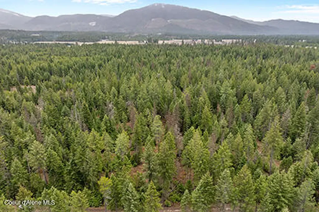 Nna N Lewellen Creek 2n Road Athol ID 83801