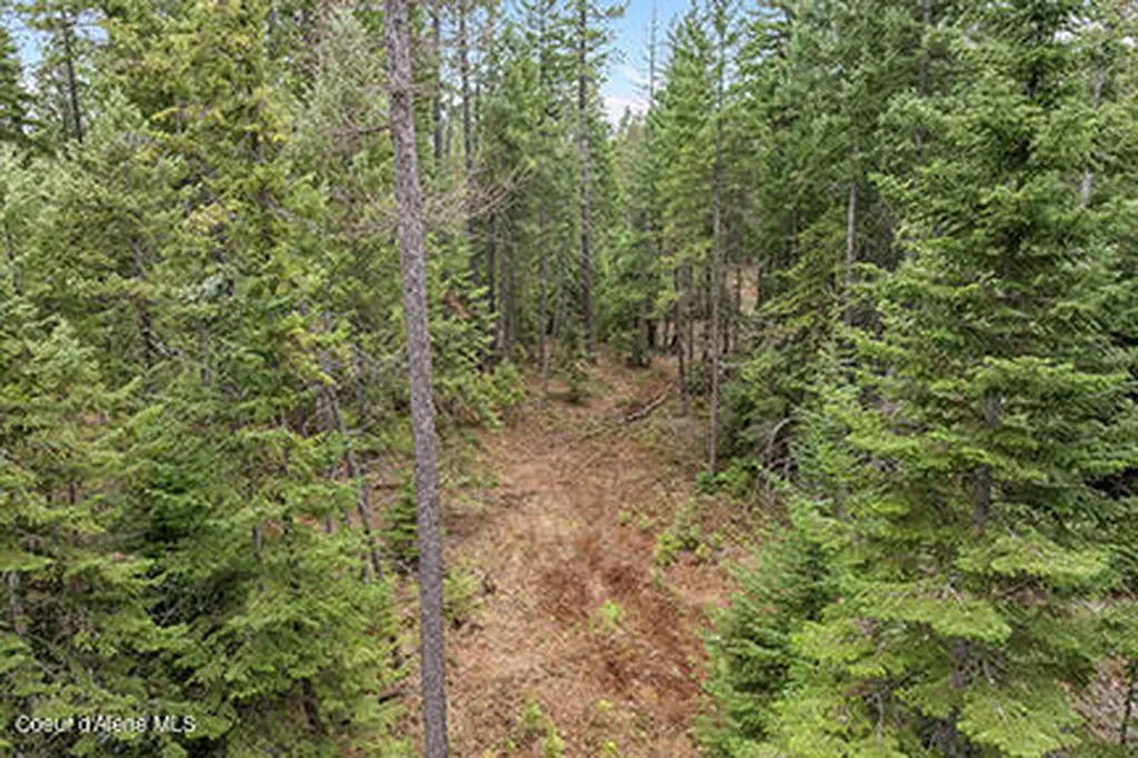 Nna N Lewellen Creek 2n Road Athol ID 83801