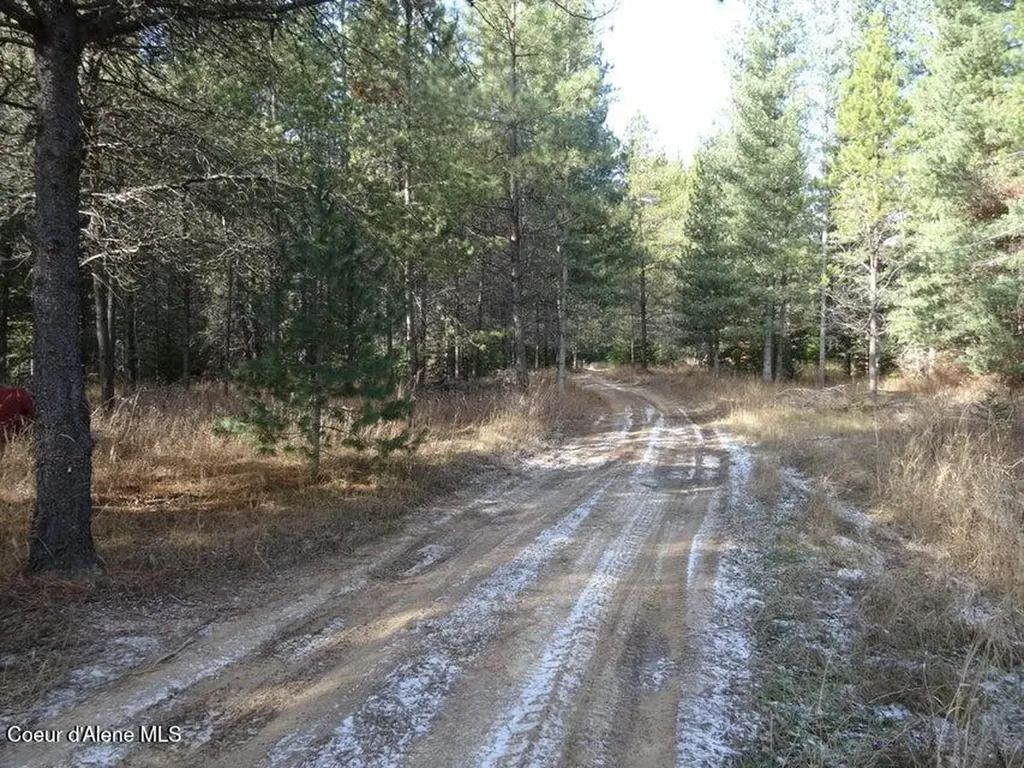 Nna Jasper Meadow (4951a) Lane Priest River ID 83856