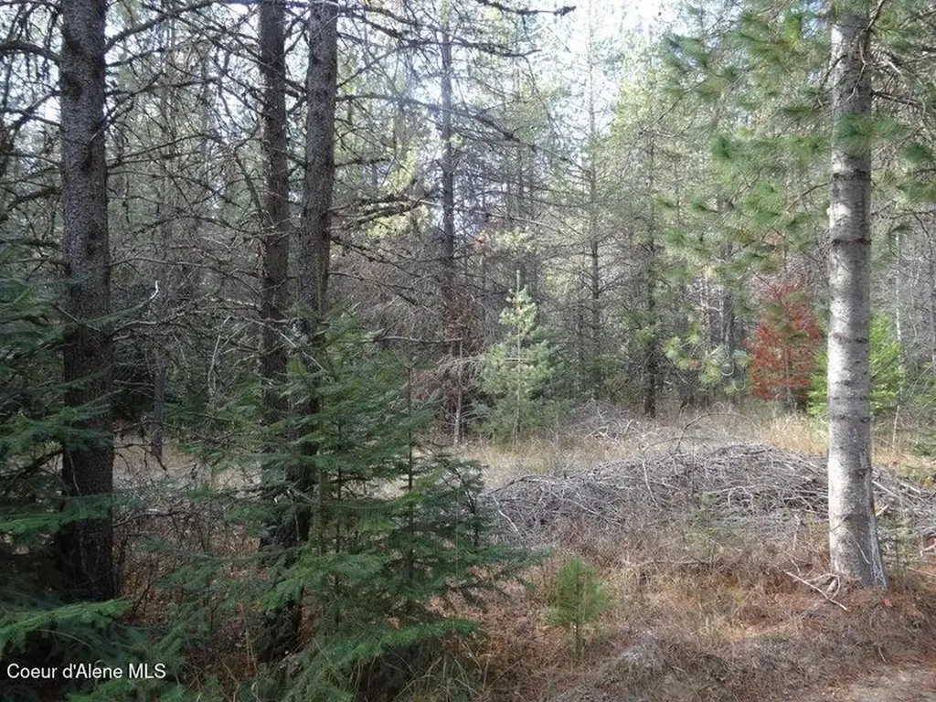 Nna Jasper Meadow (4951a) Lane Priest River ID 83856